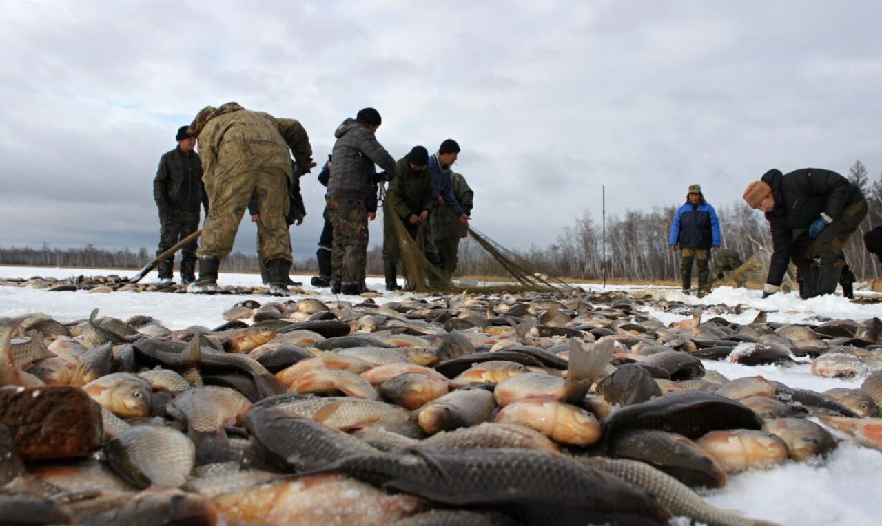 Рыбалка в якутии зимой 2020 новое. Мунха в Кобяйском улусе. Якутская рыбалка мунха. Осипов мунха. Карась мунха.